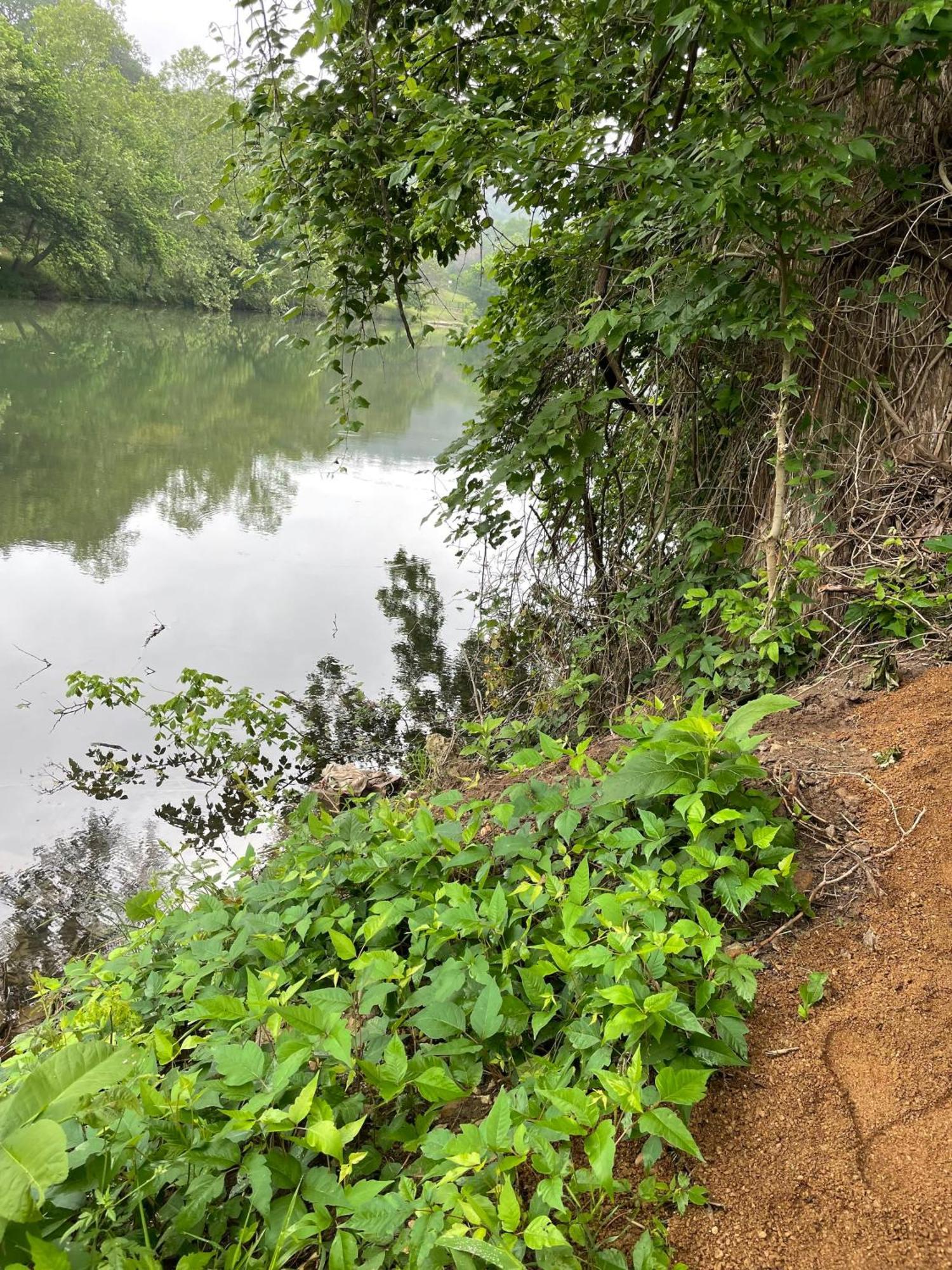 Rv Located On Private Property, Providing Access To The Guadalupe River, Accommodates Up To 5 Guests New Braunfels Exterior foto